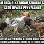 Meme Jokowi Makan Mie Ayam